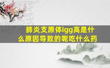 肺炎支原体igg高是什么原因导致的呢吃什么药