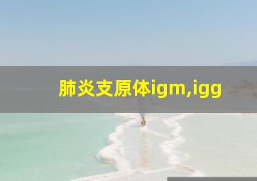 肺炎支原体igm,igg