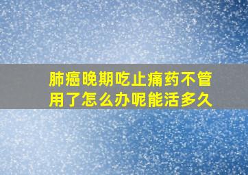 肺癌晚期吃止痛药不管用了怎么办呢能活多久