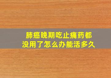 肺癌晚期吃止痛药都没用了怎么办能活多久