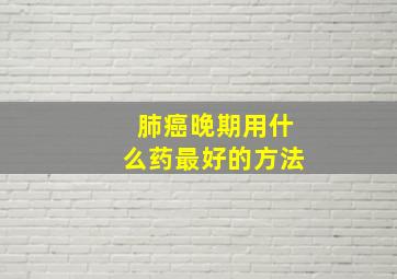 肺癌晚期用什么药最好的方法