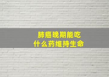 肺癌晚期能吃什么药维持生命