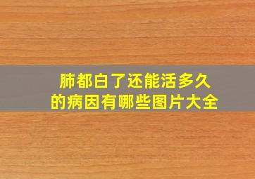 肺都白了还能活多久的病因有哪些图片大全