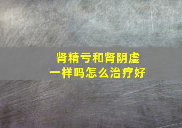 肾精亏和肾阴虚一样吗怎么治疗好