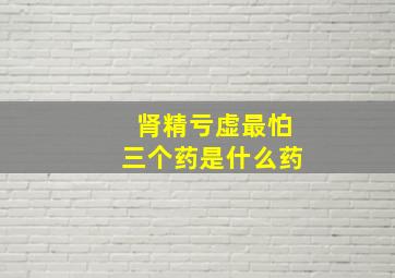 肾精亏虚最怕三个药是什么药