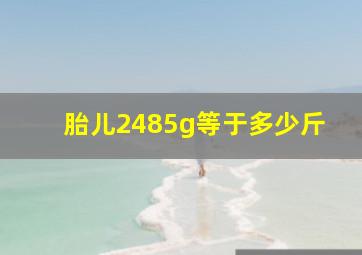 胎儿2485g等于多少斤