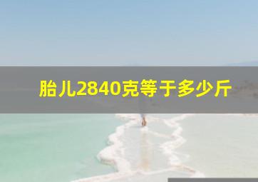 胎儿2840克等于多少斤