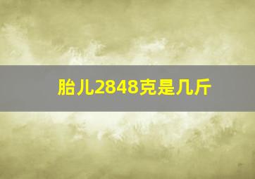 胎儿2848克是几斤