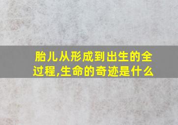 胎儿从形成到出生的全过程,生命的奇迹是什么