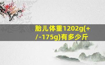 胎儿体重1202g(+/-175g)有多少斤