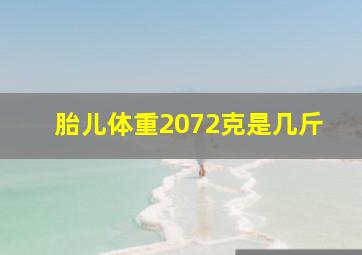 胎儿体重2072克是几斤