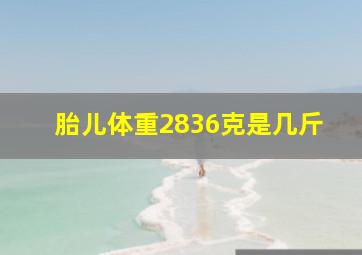 胎儿体重2836克是几斤