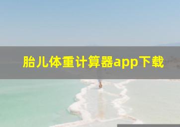 胎儿体重计算器app下载