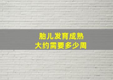 胎儿发育成熟大约需要多少周