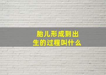 胎儿形成到出生的过程叫什么