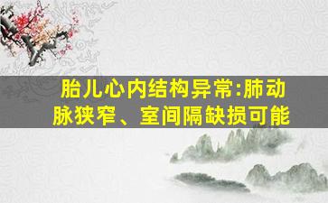 胎儿心内结构异常:肺动脉狭窄、室间隔缺损可能