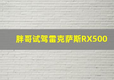 胖哥试驾雷克萨斯RX500