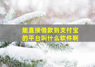 能直接借款到支付宝的平台叫什么软件啊