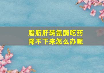 脂肪肝转氨酶吃药降不下来怎么办呢