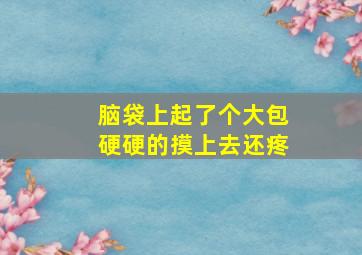 脑袋上起了个大包硬硬的摸上去还疼