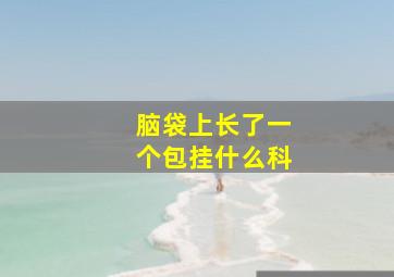 脑袋上长了一个包挂什么科