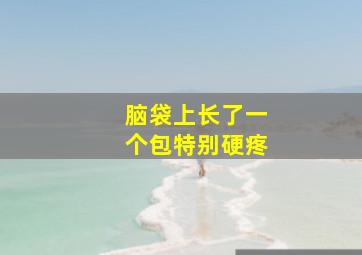 脑袋上长了一个包特别硬疼