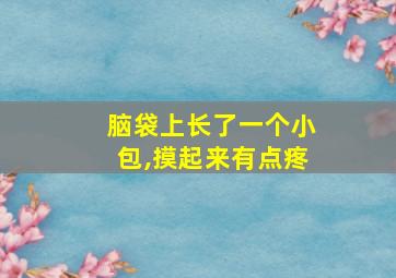 脑袋上长了一个小包,摸起来有点疼