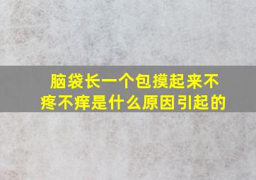 脑袋长一个包摸起来不疼不痒是什么原因引起的