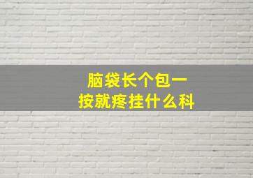 脑袋长个包一按就疼挂什么科