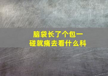 脑袋长了个包一碰就痛去看什么科