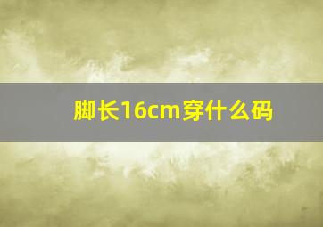 脚长16cm穿什么码