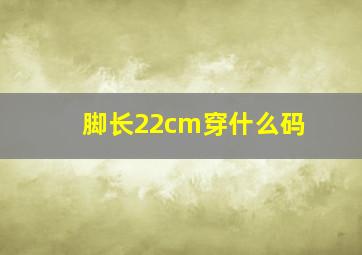 脚长22cm穿什么码