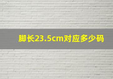 脚长23.5cm对应多少码