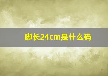 脚长24cm是什么码