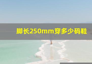 脚长250mm穿多少码鞋