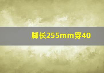 脚长255mm穿40