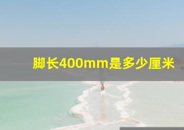 脚长400mm是多少厘米