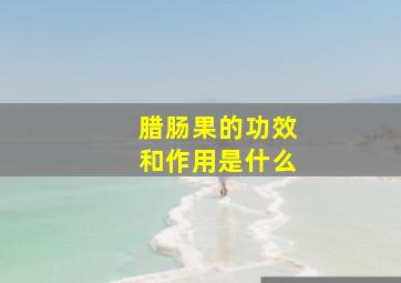 腊肠果的功效和作用是什么