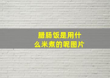 腊肠饭是用什么米煮的呢图片