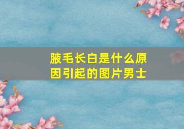 腋毛长白是什么原因引起的图片男士