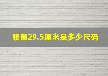 腰围29.5厘米是多少尺码