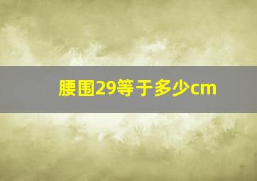 腰围29等于多少cm