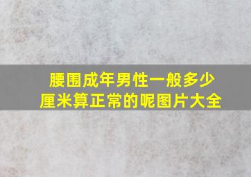 腰围成年男性一般多少厘米算正常的呢图片大全