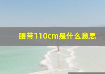 腰带110cm是什么意思