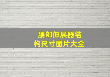 腰部伸展器结构尺寸图片大全