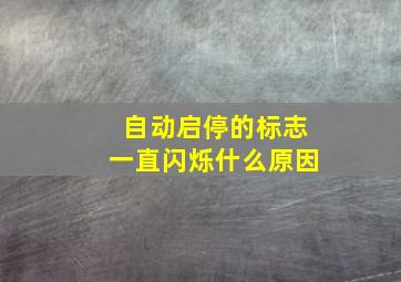 自动启停的标志一直闪烁什么原因