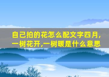 自己拍的花怎么配文字四月,一树花开,一树暖是什么意思