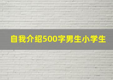 自我介绍500字男生小学生