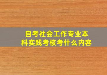 自考社会工作专业本科实践考核考什么内容