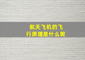 航天飞机的飞行原理是什么呢